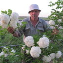  ,   , 70 ,   