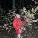  ,   , 53 ,     , c 