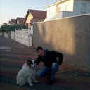  ,    , 36 ,   