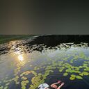 ���������� ������, ���� ������� �������, 31 ���, ������������ ��� ������, ����� � ���������