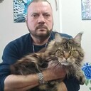  ,   , 53 ,   c , 