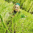 ���������� �������, ���� ������� ����, 31 ���, ������������ ��� ����� � ���������, c�������� ���������, ���������