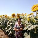  ,   , 62 ,   ,   , c 