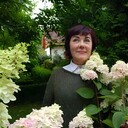 ���������� ������, ���� ������� ��������, 60 ���, ������������ ��� ����� � ���������, c�������� ���������, ���������