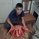  Ch'ongju,   Maks, 31 ,   ,   , c , 