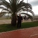  ,   , 55 ,   ,   , c 