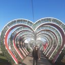 ���������� �����������, ���� ������� ����, 37 ���, ������������ ��� ������, ����� � ���������