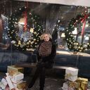 ���������� �����, ���� ������� �����, 37 ���, ������������ ��� ������, ����� � ���������, c�������� ���������