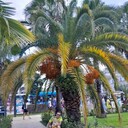  ,   , 40 ,   ,   