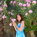 ���������� �����, ���� ������� ��������, 38 ���, ������������ ��� ����� � ���������, c�������� ���������