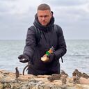 ���������� ����, ���� ������� ����, 34 ����, ������������ ��� ������, ����� � ���������, c�������� ���������