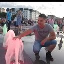 ���������� ���������, ���� ������� �������, 34 ����, ������������ ��� ������, ����� � ���������, c�������� ���������