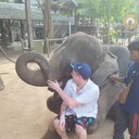 ���������� ������, ���� ������� �����, 38 ���, ������������ ��� ����� � ���������, c�������� ���������, ���������