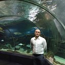  --,   , 40 ,   