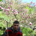  ,   , 41 ,   ,   , c 
