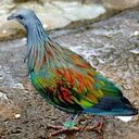 ���������� ������, ���� ������� �������, 56 ���, ������������ ��� ������, ����� � ���������, c�������� ���������, ���������