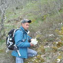  ,   , 44 ,   ,   