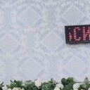  ,   Shahzod, 28 ,     , c 