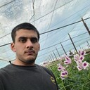  ,   Ali, 29 ,   ,   