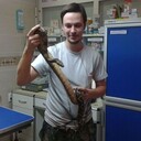 ���������� �����������, ���� ������� ���������, 35 ���, ������������ ��� ���������