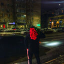 ���������� ����, ���� ������� �������, 29 ���, ������������ ��� ������, ����� � ���������, c�������� ���������