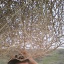  ,   , 44 ,   ,   , c 