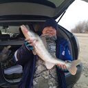 ���������� �����������-��-�����, ���� ������� ����, 43 ����, ������������ ��� ������, ����� � ���������