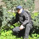 ���������� �����������, ���� ������� ����, 48 ���, ������������ ��� ������, ����� � ���������, c�������� ���������