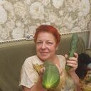  -,   , 51 ,   ,   , c 