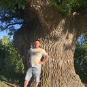 ���������� ������, ���� ������� ������, 38 ���, ������������ ��� ������, ����� � ���������, c�������� ���������