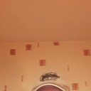 ���������� ������ ��������, ���� ������� �������, 51 ���, ������������ ��� ������, ����� � ���������, c�������� ���������