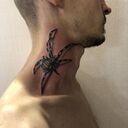  Bochnia,   Slaventiy, 37 ,   ,   , c , 