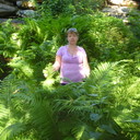  ,   , 50 ,   ,   , c 