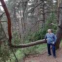 ���������� �����, ���� ������� ���������, 59 ���, ������������ ��� ������, ����� � ���������, c�������� ���������