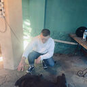 ���������� ������, ���� ������� ����, 28 ���, ������������ ��� ������, ����� � ���������, ���������