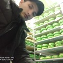  ,   , 27 ,   ,   , c 