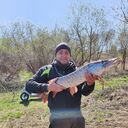 ���������� �����������, ���� ������� ������, 46 ���, ������������ ��� ������, ����� � ���������, c�������� ���������