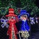 ���������� ����, ���� ������� �����, 42 ����, ������������ ��� ���������