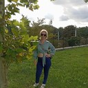 ���������� �����������, ���� ������� ����, 41 ���, ������������ ��� ������, ����� � ���������