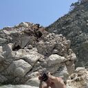 ���������� �����-���������, ���� ������� �����, 40 ���, ������������ ��� ������, ����� � ���������