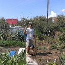 ���������� ���������� �����, ���� ������� ����, 41 ���, ������������ ��� ������, ����� � ���������, c�������� ���������