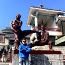 ���������� Delemont, ���� ������� Igor, 46 ���, ������������ ��� ������, ����� � ���������, c�������� ���������