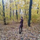 ���������� ��������, ���� ������� ����, 26 ���, ������������ ��� ������, ����� � ���������, ���������