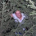 ���������� ����, ���� ������� �������, 42 ����, ������������ ��� ������, ����� � ���������, c�������� ���������