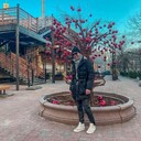 ���������� ������ ��������, ���� ������� ������, 33 ����, ������������ ��� ����� � ���������, c�������� ���������, ���������