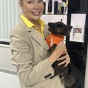 ���������� ������, ���� ������� ����, 36 ���, ������������ ��� ������, ����� � ���������, c�������� ���������, ���������