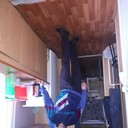  ,   Dmitrij, 38 ,   ,   , c 