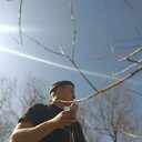 ���������� ������������, ���� ����� Roma, 24 ����, ������������ ��� ���������