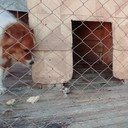 ���������� ����, ���� ������� ����, 28 ���, ������������ ��� ����� � ���������, c�������� ���������