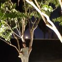 ���������� ���������, ���� ������� �����, 50 ���, ������������ ��� c�������� ���������